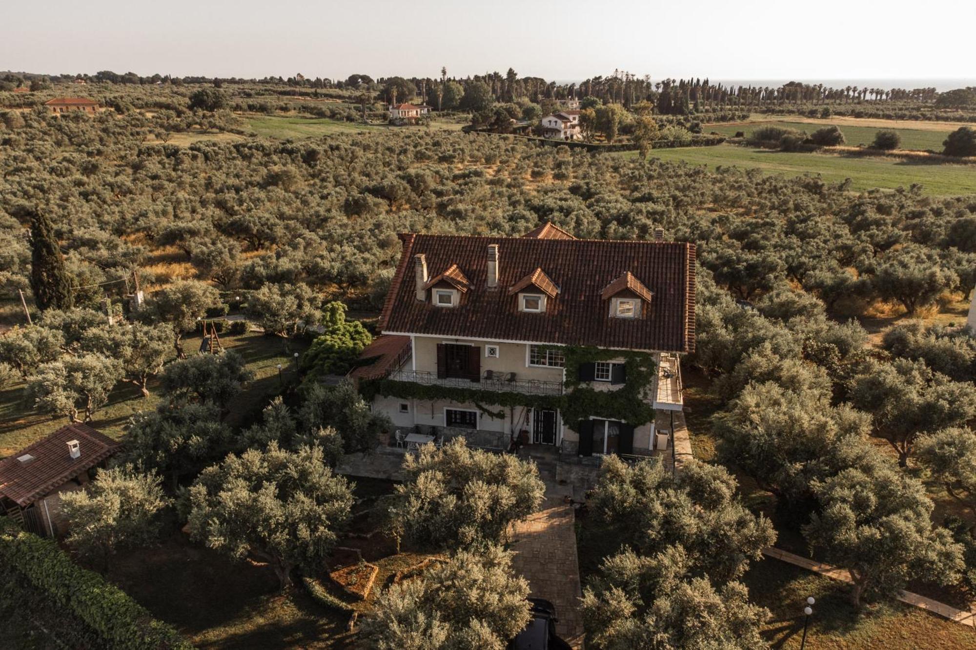Villa Georgina B&B 카타콜론 외부 사진